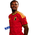 Belgium Player 2026 Home