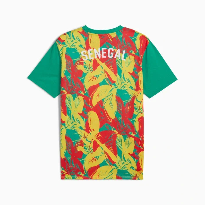 Senegal Pre-Match 2025 Jersey