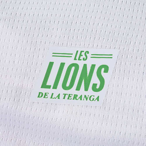 Senegal Home 25/26 Jersey